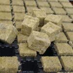 سینی نشا 85خانه