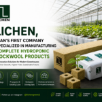 استوری شش