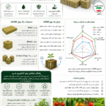 استوری سه