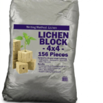 مکعب-های-44-آمتده-کشت-راک-وول-lichen