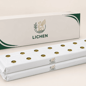 گروبگ آماده لایکن (Lichen) مخصوص کشت حرفه ای توتفرنگی
