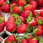برنامه غذایی توت‌فرنگی در راک‌وول: راهنمای کشت هیدروپونیک در گلخانه تجاری